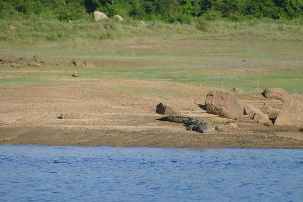 Gal Oya Lake View Inginiyagala Polwatta Dış mekan fotoğraf